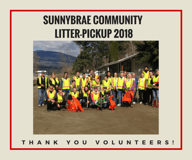 Litter-Pickup 2018 FB
